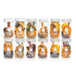 Load image into Gallery viewer, Camp Craft Cocktails - Lemon Drop - Infusion Kit