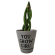 Load image into Gallery viewer, Garden - Custom Potted Succulent