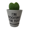 Load image into Gallery viewer, Garden - Custom Potted Succulent