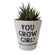 Load image into Gallery viewer, Garden - Custom Potted Succulent