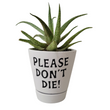 Load image into Gallery viewer, Garden - Custom Potted Succulent