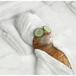 Load image into Gallery viewer, Spa - Glitter Gel Eye Mask