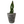 Load image into Gallery viewer, Garden - Custom Potted Succulent
