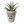 Load image into Gallery viewer, Garden - Custom Potted Succulent
