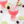 Load image into Gallery viewer, Camp Craft Cocktails - Cherry Limeade - Infusion Kit
