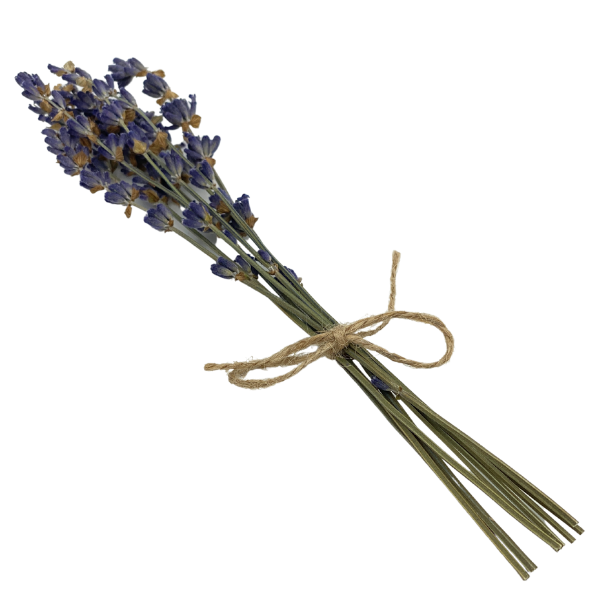 Spa - Mini Lavender Bouquet