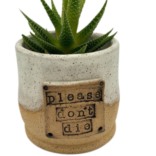 succulent plant don't Garden - Succulent & Artisan Pot